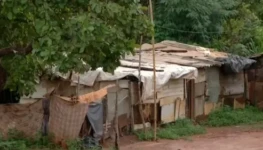 WhatsApp Image 2025-12-11 at 15.26.09