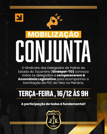 WhatsApp Image 2025-12-15 at 13.26.03