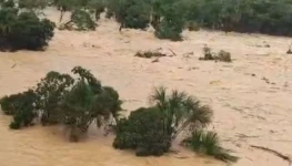 WhatsApp Image 2025-12-19 at 10.37.37