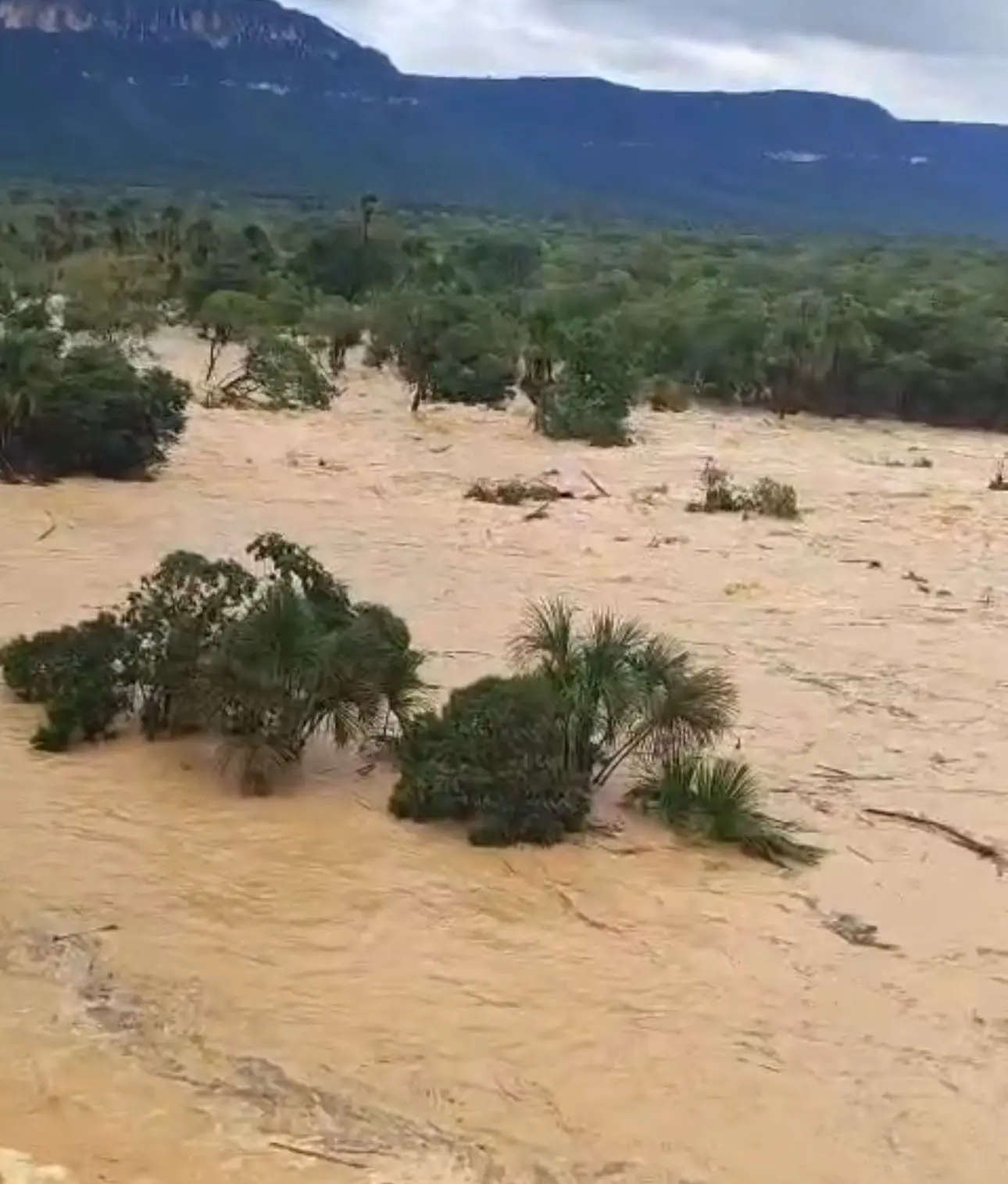 WhatsApp Image 2025-12-19 at 10.37.37