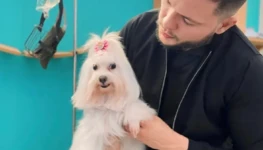 WhatsApp Image 2025-12-19 at 15.33.58