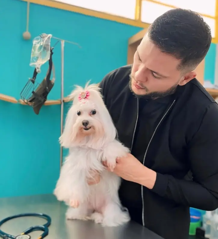 WhatsApp Image 2025-12-19 at 15.33.58