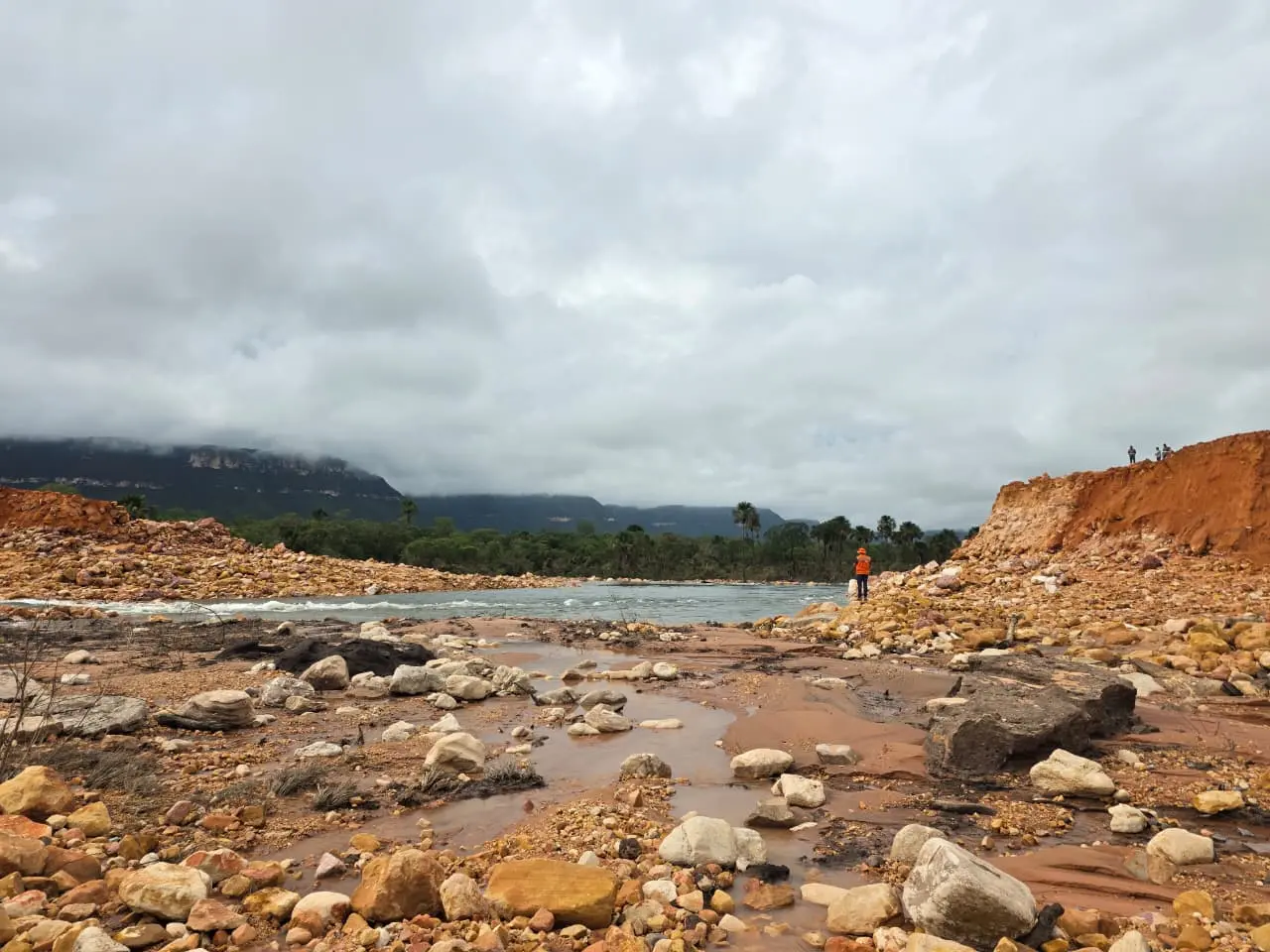 WhatsApp Image 2025-12-20 at 11.54.11