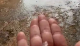 WhatsApp Image 2025-12-24 at 16.32.21 (1)