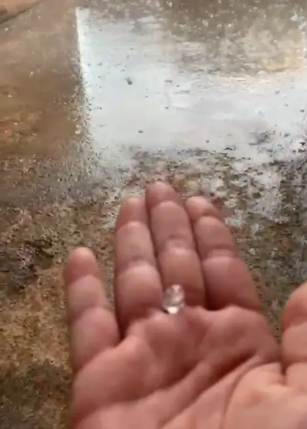 WhatsApp Image 2025-12-24 at 16.32.21 (1)