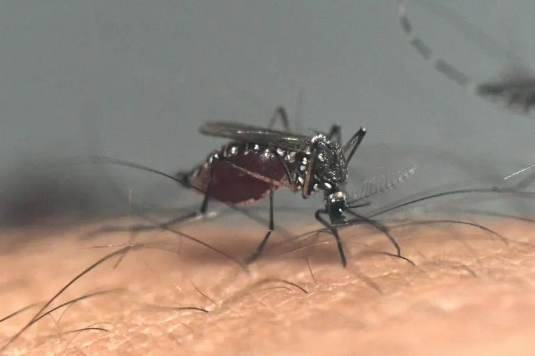 WhatsApp Image 2025-12-27 at 11.46.24