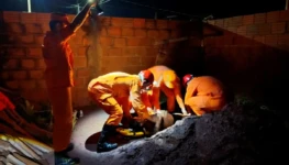 47adb3e8-494d-4dd2-9a5a-e983bbd4b398