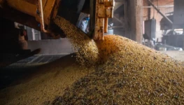 51896376628_f88dba1d29_k