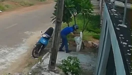 Crime de maus tratos a animais foi flagrado por câmera de segurança (1)