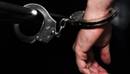 Divulgação -DICOM SSP TO