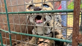 eb98a13b-8081-4a48-8b62-cf80ebf0d7e8 (1)