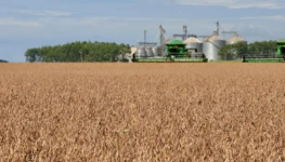 F8-Evento nacional marca o início simbólico da colheita da soja e destaca o potencial produtivo do Tocantins. Foto-Antonio Gonçalves-GovTO