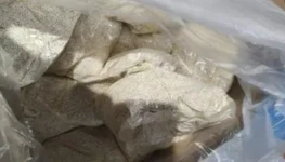 faee667b-4853-453d-95fe-9ff2c8366e70