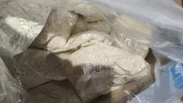 faee667b-4853-453d-95fe-9ff2c8366e70