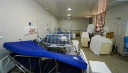 francisca coelho mpto