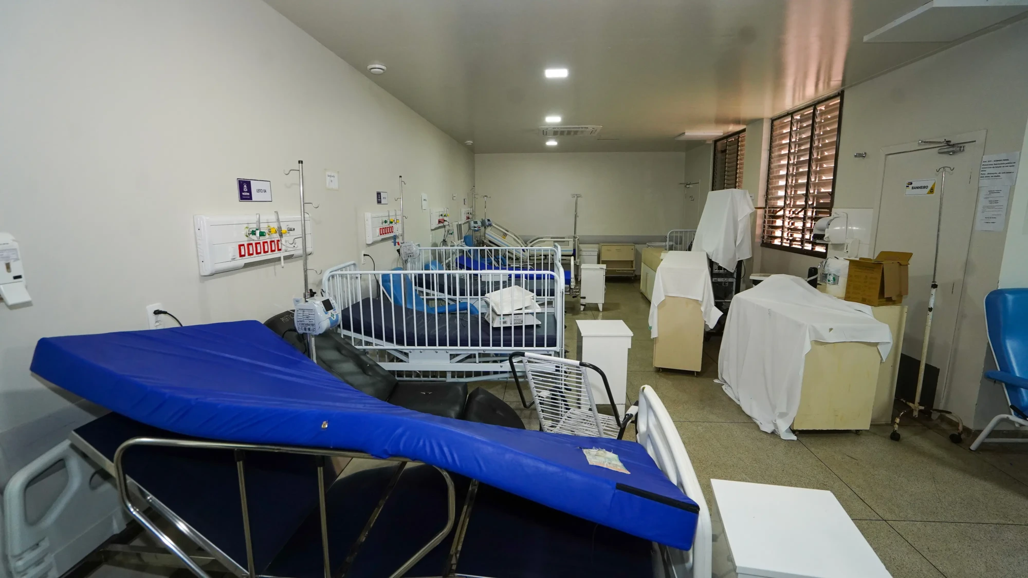 francisca coelho mpto