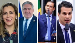 Galeria de 6 Imagens (1)