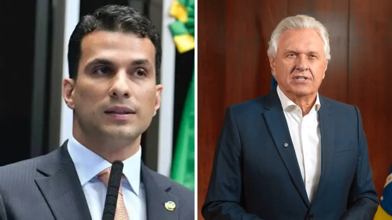 Galeria de 6 Imagens (3)