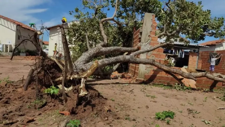 screenshot-2026-01-12-163012