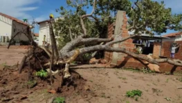 Screenshot 2026-01-12 163012