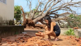 Wanubia Tiago viveu momentos de medo e tensão ao lado dos filhos durante forte vendaval que arrancou uma árvore do seu quintal - Foto - Regiane Rocha (1)