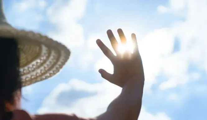 WhatsApp Image 2026-01-05 at 16.41.41