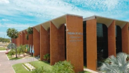 WhatsApp Image 2026-01-06 at 12.47.14