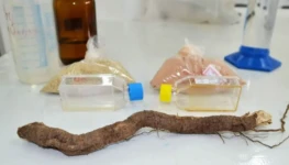 WhatsApp Image 2026-01-06 at 15.16.11