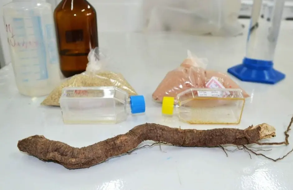 WhatsApp Image 2026-01-06 at 15.16.11