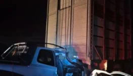 WhatsApp Image 2026-01-10 at 11.28.15