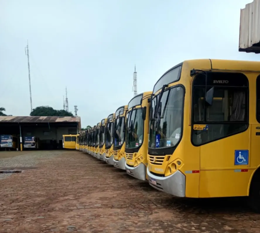 WhatsApp Image 2026-01-13 at 08.29.00