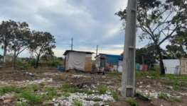 WhatsApp Image 2026-01-16 at 16.00.43