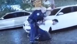 WhatsApp Image 2026-01-18 at 15.28.19