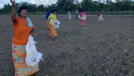 WhatsApp Image 2026-01-19 at 09.39.05