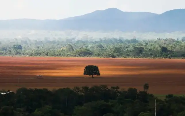 WhatsApp Image 2026-01-19 at 12.55.03