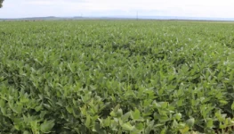 WhatsApp Image 2026-01-19 at 13.24.59