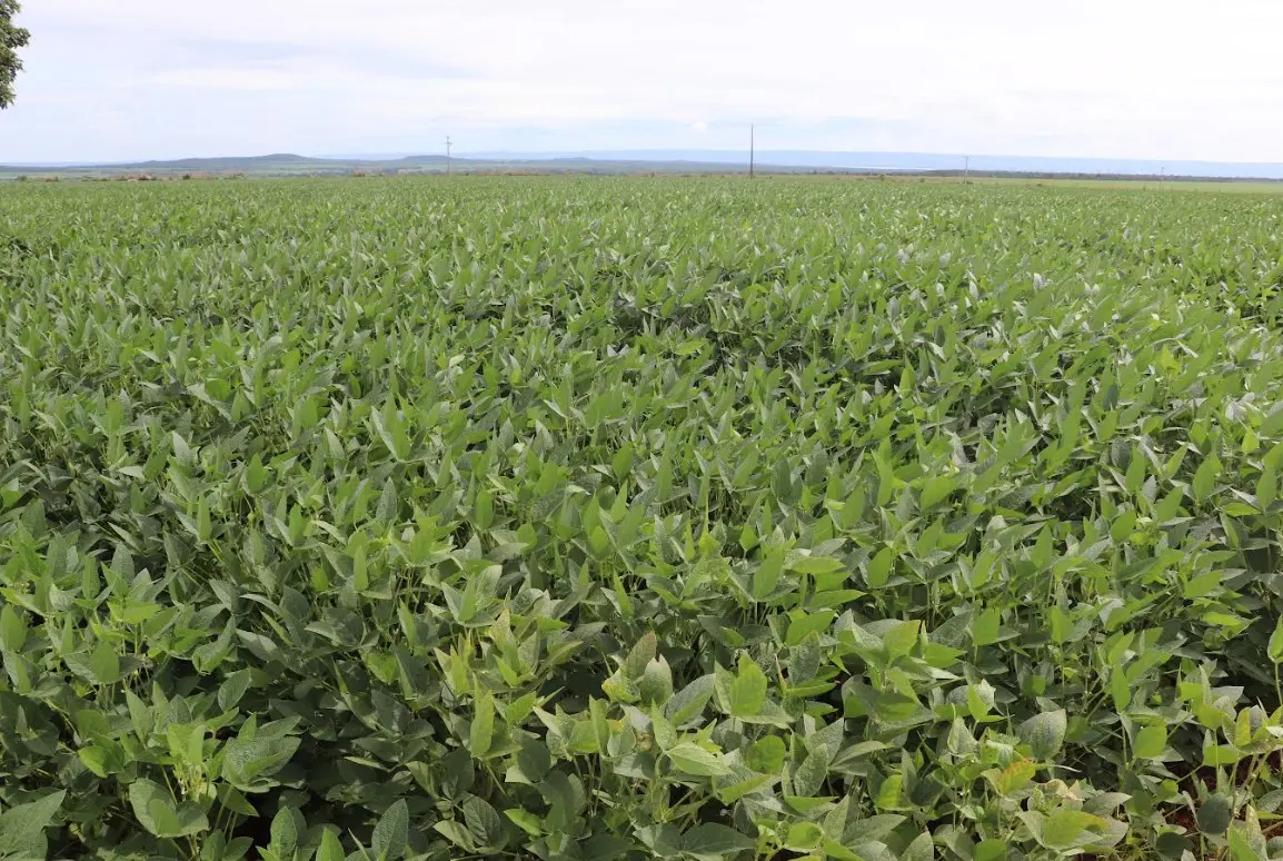 WhatsApp Image 2026-01-19 at 13.24.59