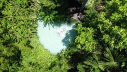 WhatsApp Image 2026-01-21 at 13.58.19