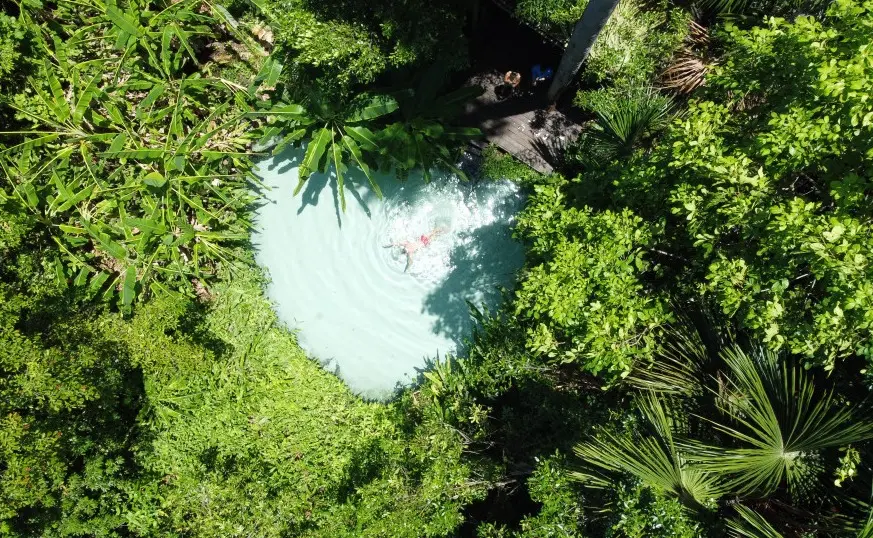 WhatsApp Image 2026-01-21 at 13.58.19