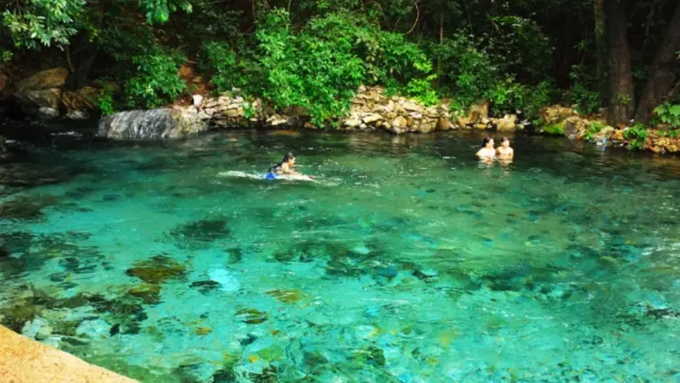 WhatsApp Image 2026-01-21 at 14.11.25