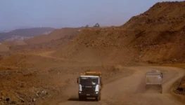 WhatsApp Image 2026-01-21 at 15.51.54