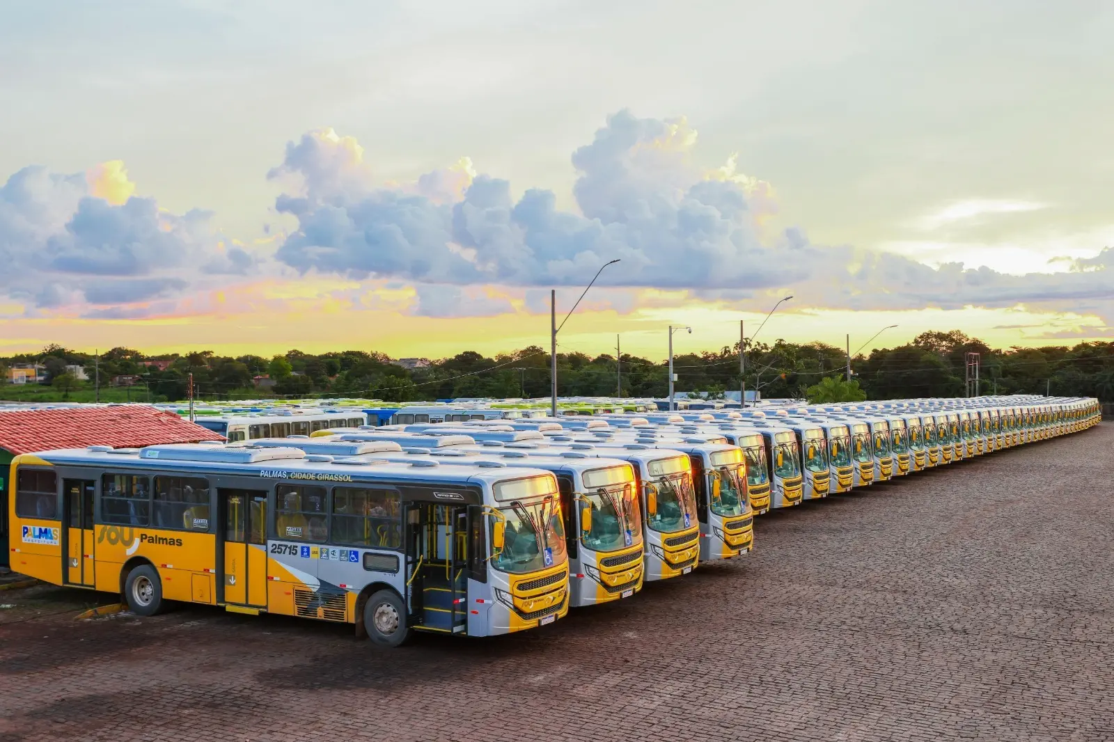 WhatsApp Image 2026-01-22 at 16.17.32