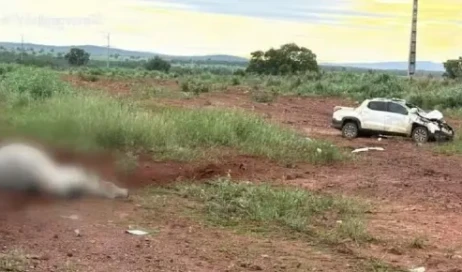 WhatsApp Image 2026-01-23 at 14.35.33