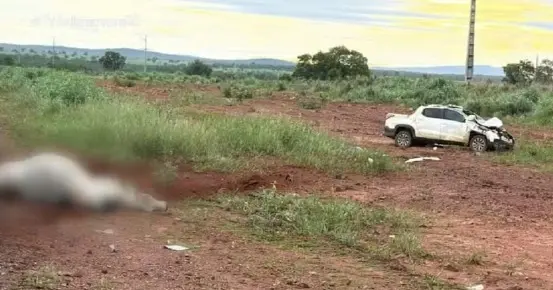 WhatsApp Image 2026-01-23 at 14.35.33