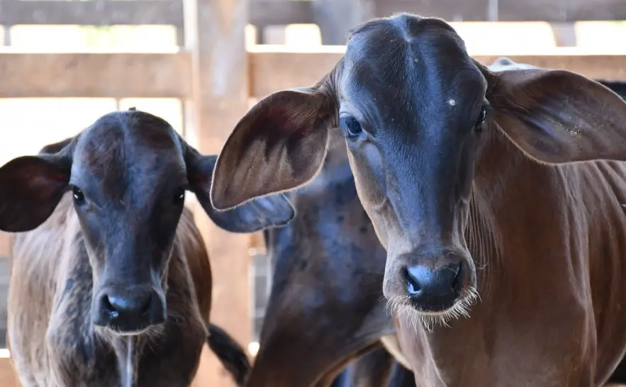 WhatsApp Image 2026-01-28 at 12.59.46