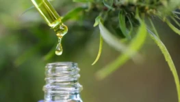 WhatsApp Image 2026-01-28 at 14.41.05