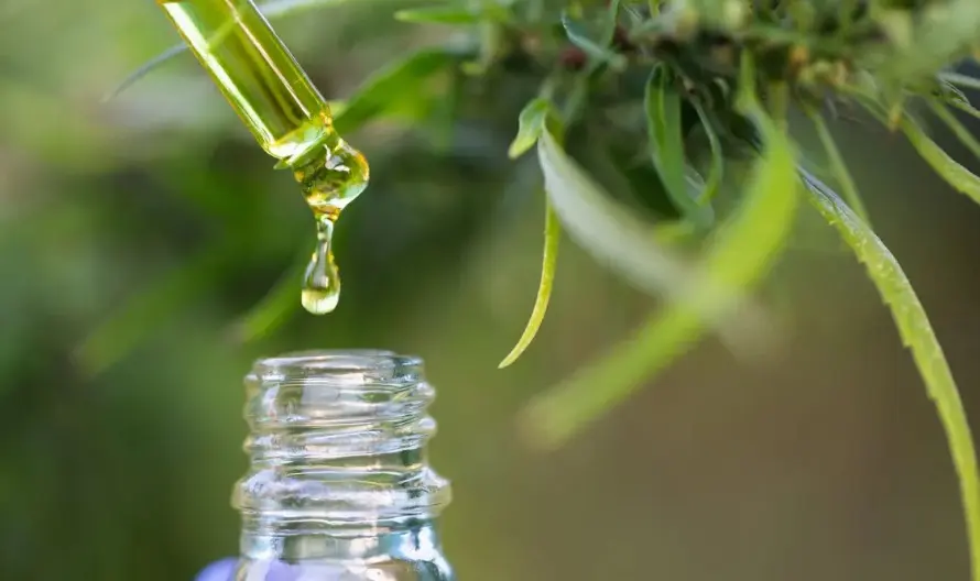 WhatsApp Image 2026-01-28 at 14.41.05