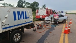 WhatsApp Image 2026-01-29 at 16.17.41