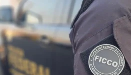 WhatsApp Image 2026-01-29 at 16.53.50