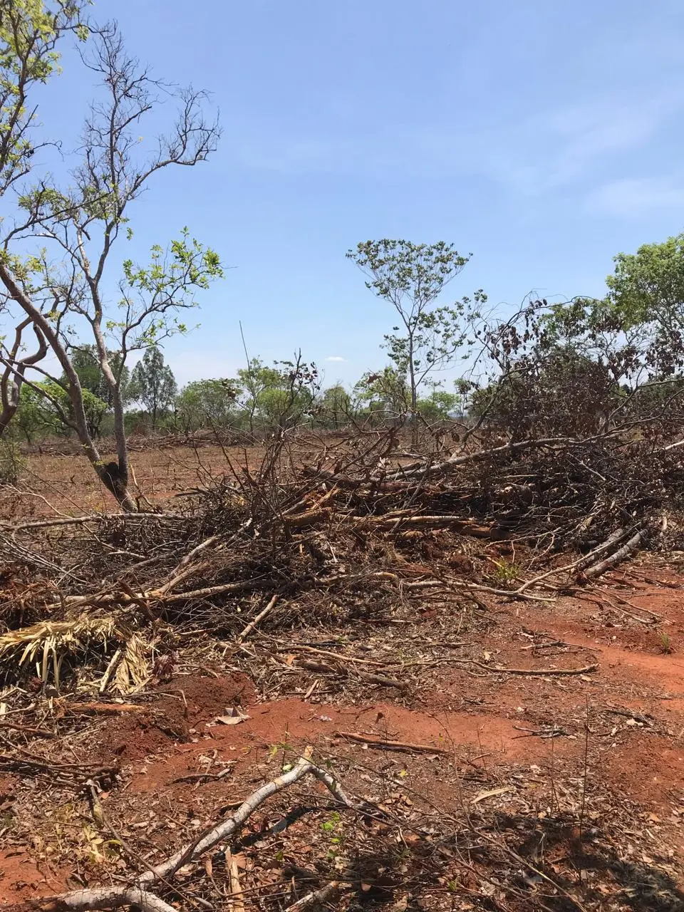 WhatsApp Image 2026-01-30 at 16.08.20